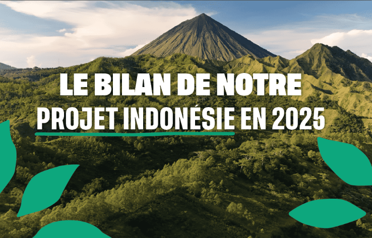 Coeur de Foret: projet indonésie