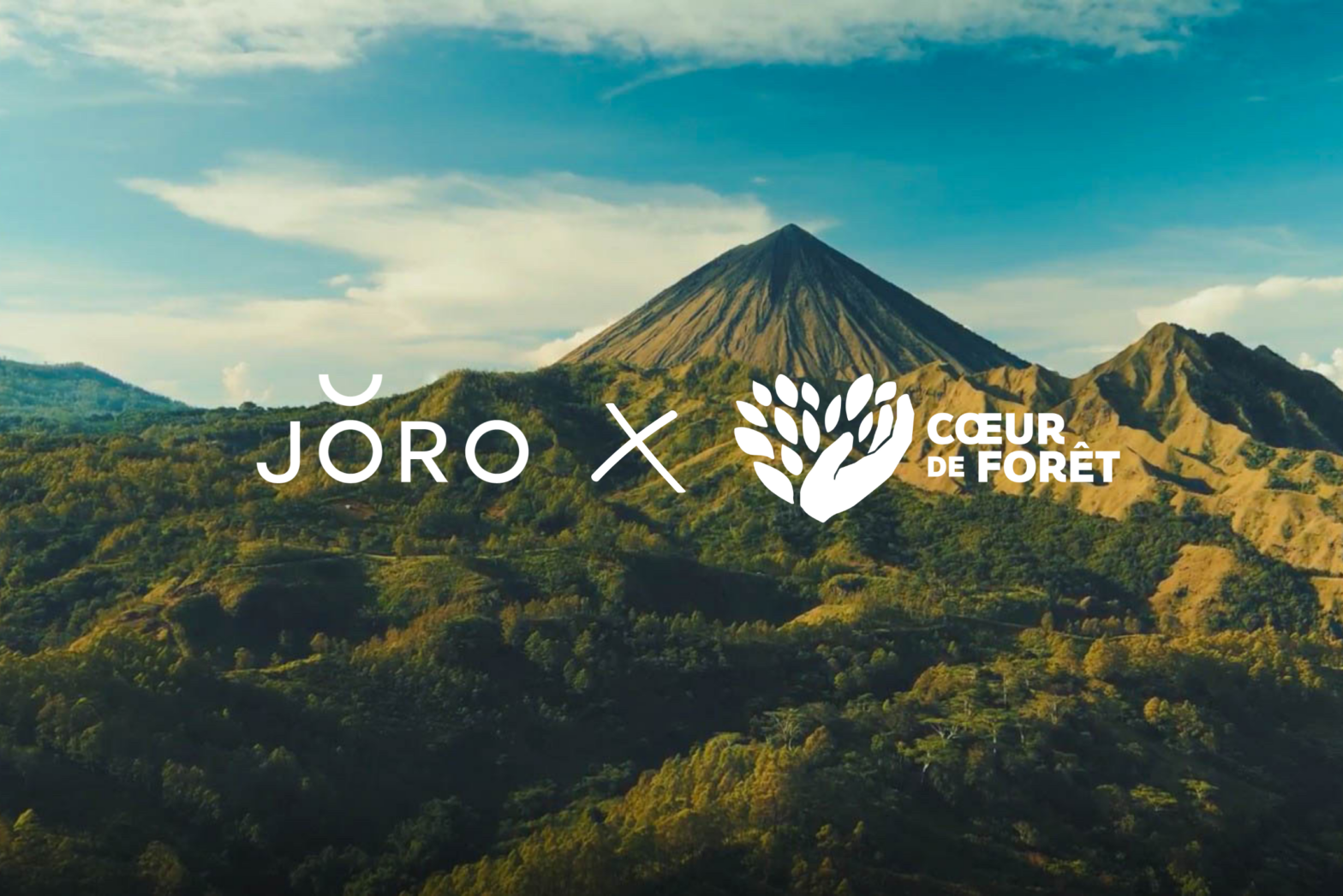 Jöro x Coeur de Forêt