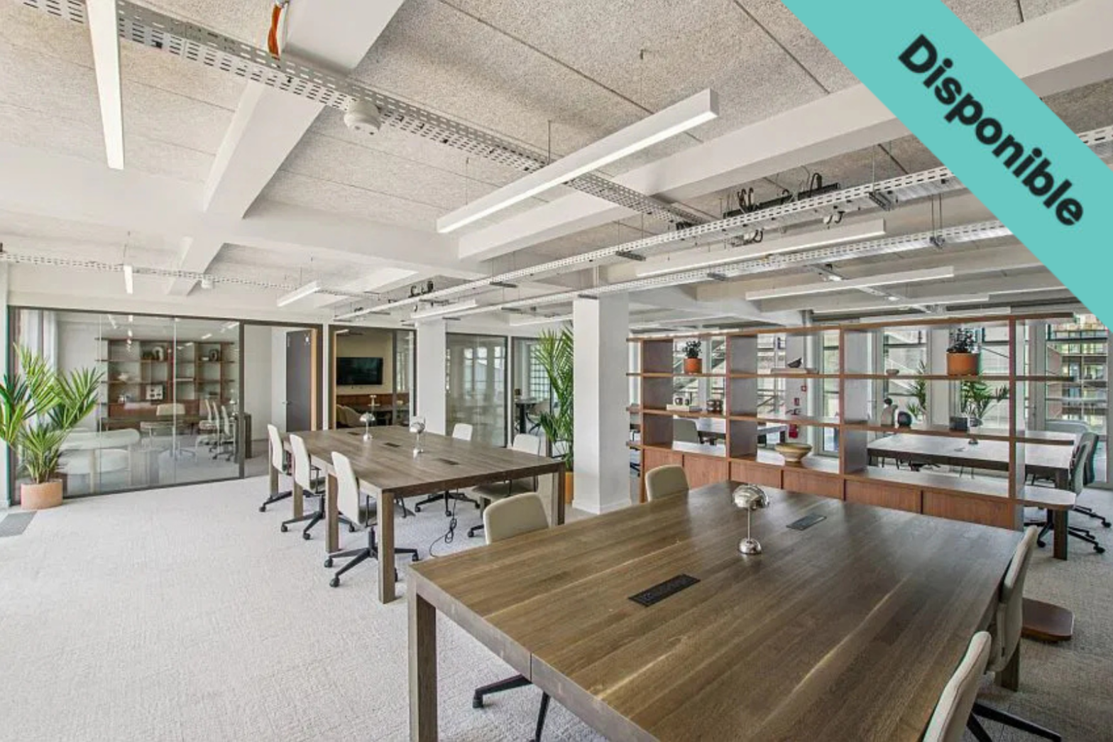 206 LAFAYETTE (CRISTAL TOWER)