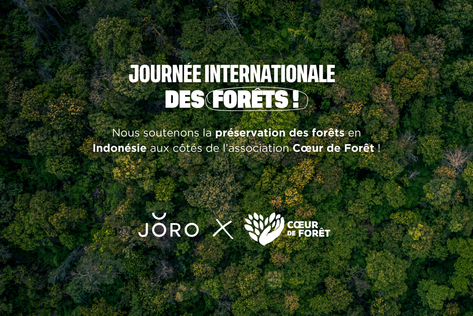 Journée Internationale des Forêts 2026